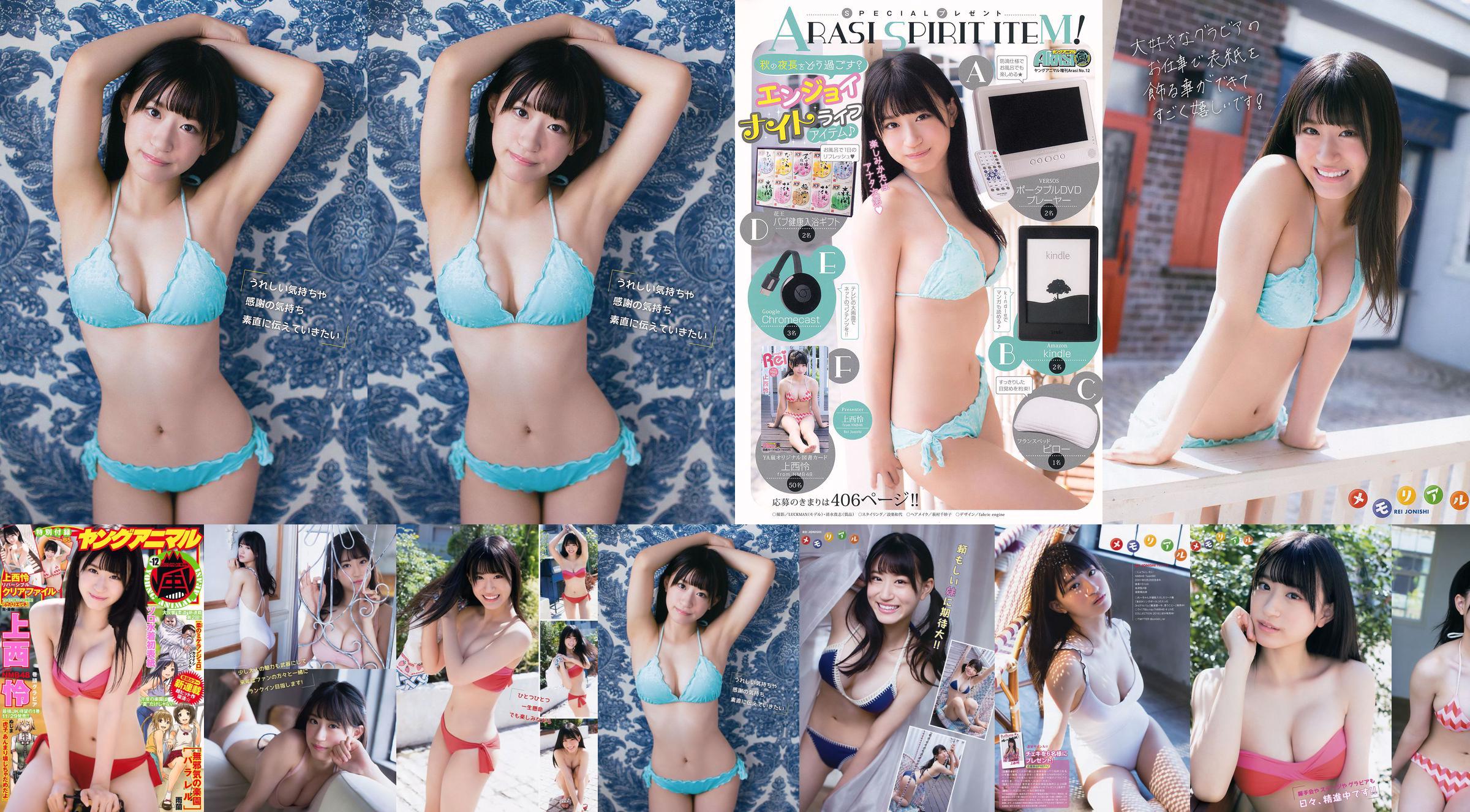Rei Jonishi [Animal joven Arashi] Arashi Edición especial 2017 No.12 Revista fotográfica No.aca316 Página 1