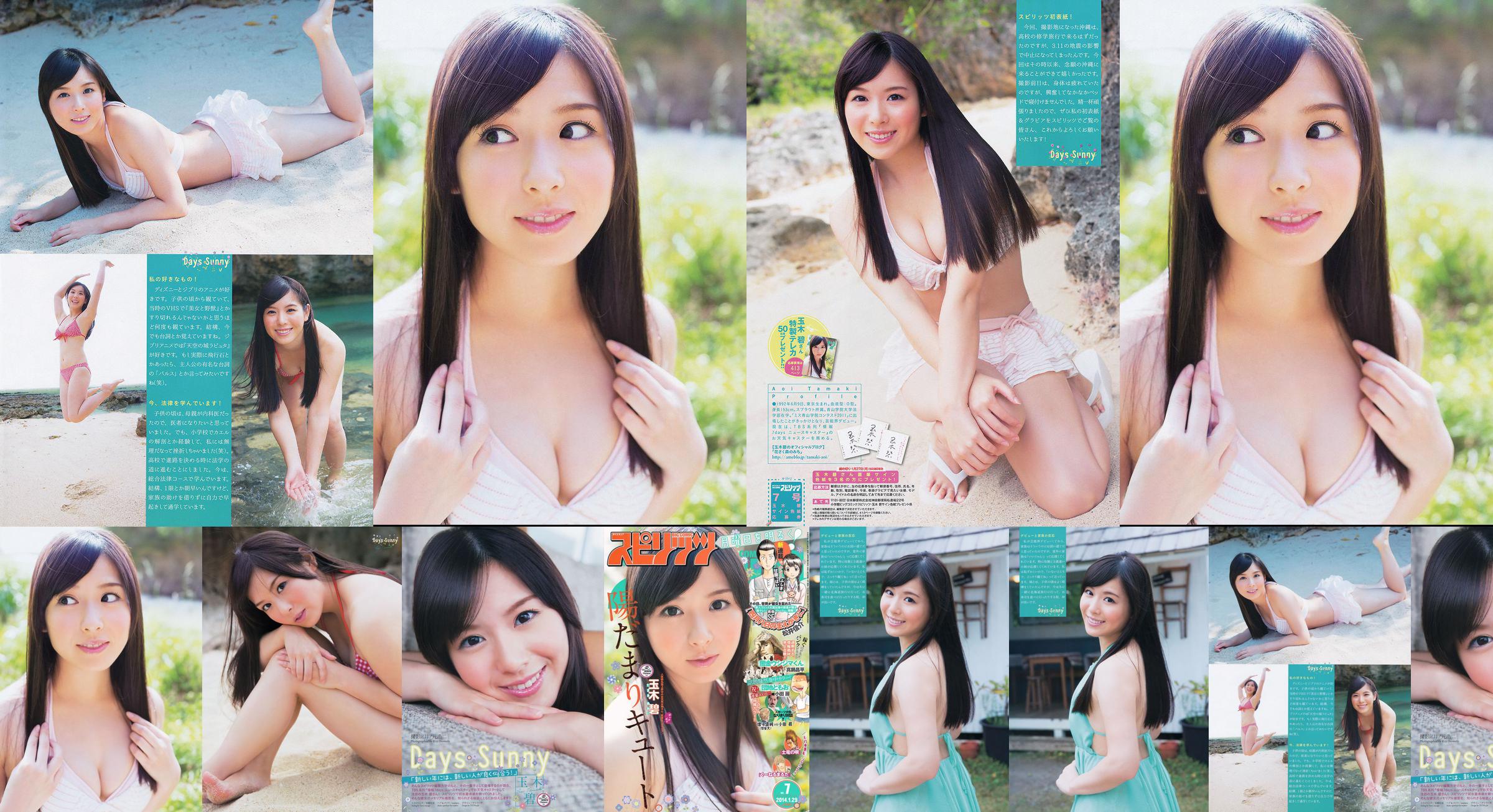 [Wöchentliche große Comic-Geister] Tamakibi 2014 No.07 Photo Magazine No.e97548 Seite 1